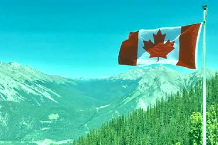Ivy, 39 — Escort in Central, Canada
