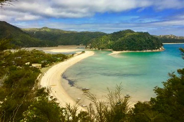 Ivy, 39 — Escort in Days Bay, New Zealand