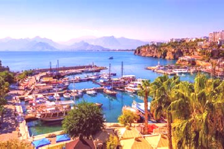 Ivy, 39 — Escort in Gundogdu, Turkey