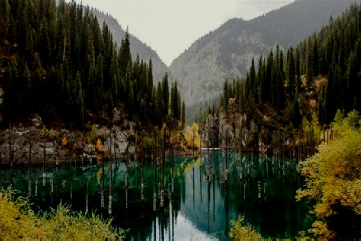 Ivy, 39 — Escort in Kaindy, Kyrgyzstan