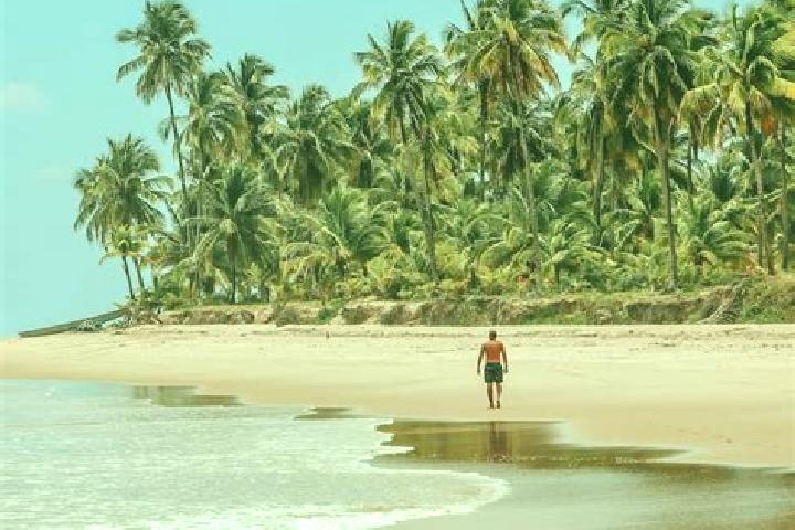 Ivy, 39 — Escort in Taipu, Brazil