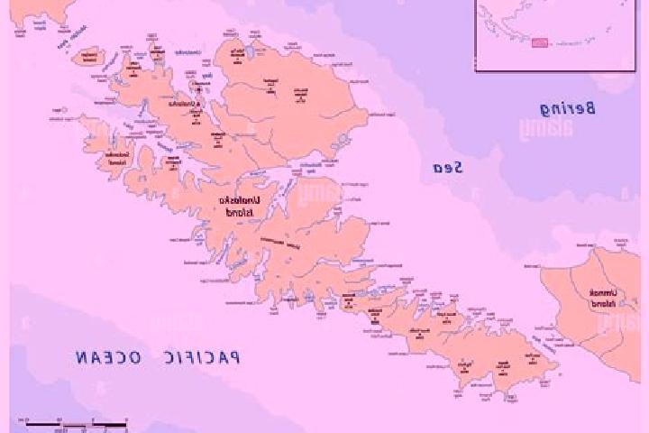 Ivy, 39 — Escort in Unalaska, United States