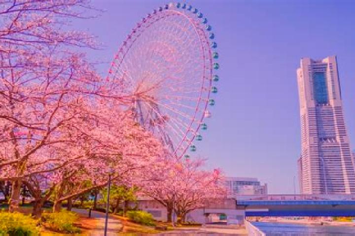 Jade, 20 — Escort in Minatomirai, Japan