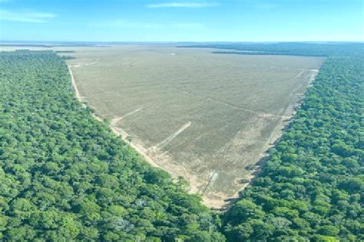 Jade, 20 — Escort in Verdejante, Brazil