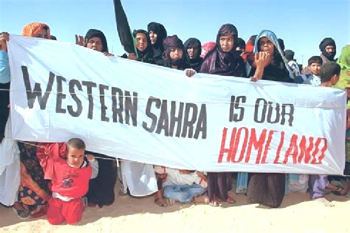 Jade, 21 — Escort in Bir Ganduz, Western Sahara