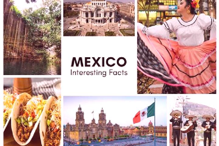 Jade, 21 — Escort in Jitzamuri, Mexico