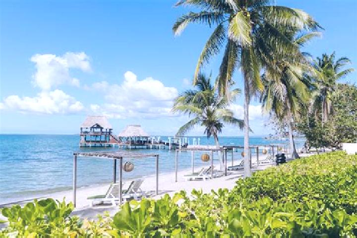 Jade, 21 — Escort in Sand Hill, Belize