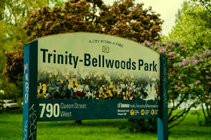 Jade, 21 — Escort in Trinity-Bellwoods, Canada