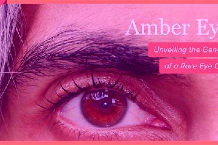 Jade, 22, a red amber-eyed middle eastern companion based in Malah. Offering GFE, Girlfriend Experience, Duos. Available for incall and outcall, day and even...