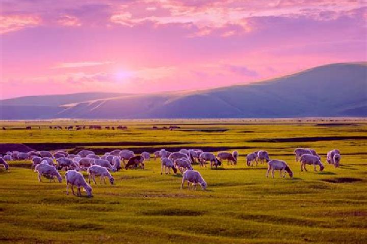 Jade, 22 — Escort in Hanhoehiy, Mongolia