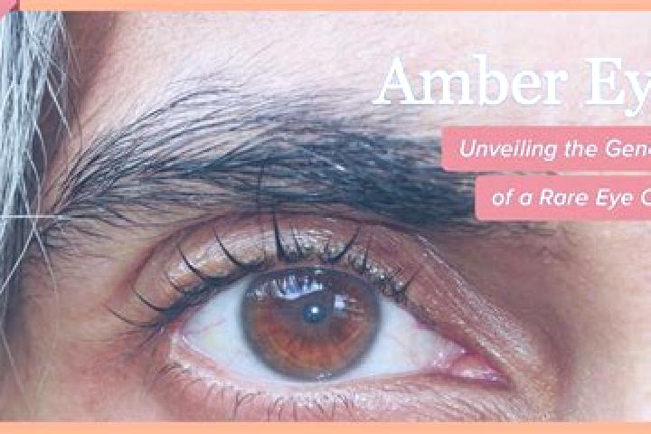 Jade, 23, a black amber-eyed indian companion based in Acharnes. Offering Overnight, Dinner Date, Prostate Massage. Available for incall and outcall, day and...