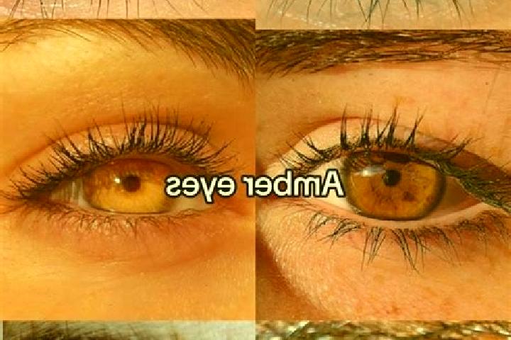Jade, 23, a chestnut amber-eyed caribbean companion based in Stonyfell. Offering Couples, Domination, Prostate Massage, Travel Companion. Available for incal...