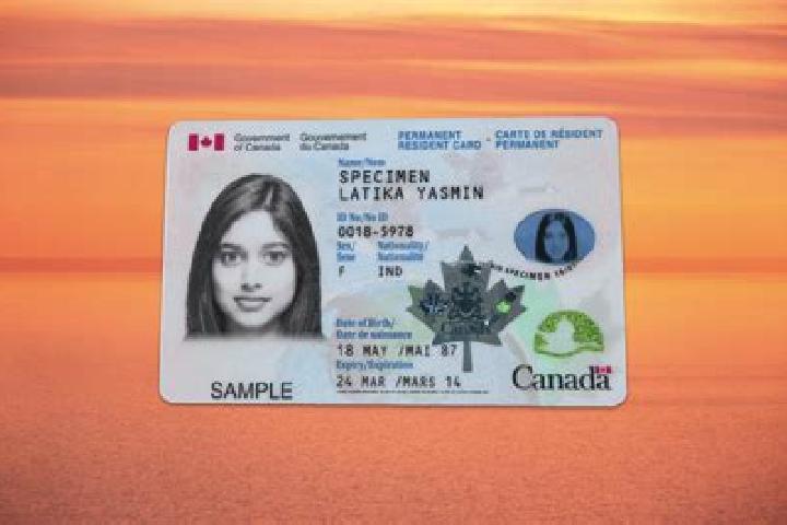 Jade, 23 — Escort in Ct 0008, Canada