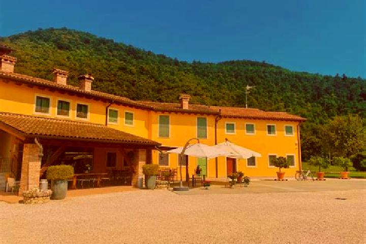 Jade, 23 — Escort in Semproniano, Italy