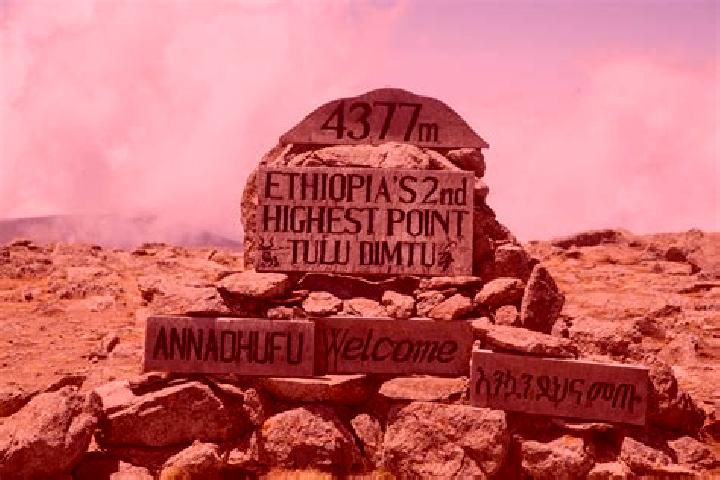 Jade, 23 — Escort in Tulu Bolo, Ethiopia