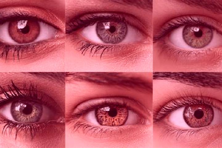 Jade, 24, a chestnut hazel-eyed middle eastern companion based in Salisbury. Offering Roleplay, Domination, Dinner Date. Available for incall and outcall, da...