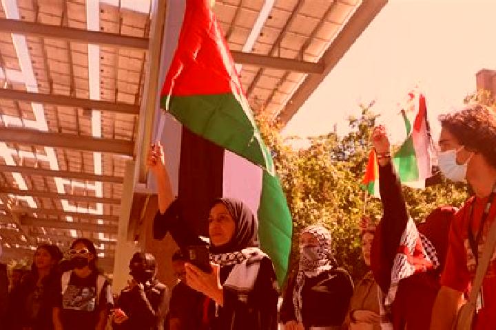 Jade, 24 — Escort in Az Za ayyim, Palestine