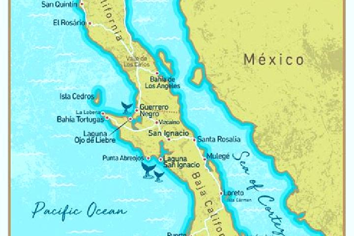 Jade, 24 — Escort in La Peninsula, Mexico