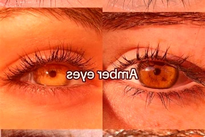Jade, 25, a chestnut amber-eyed mediterranean companion based in Birayn. Offering Erotic Massage, 69, Girlfriend Experience, Overnight. Available for incall ...