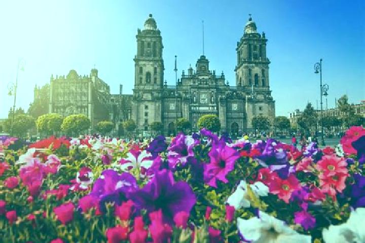 Jade, 25 — Escort in Ciudad Camargo, Mexico