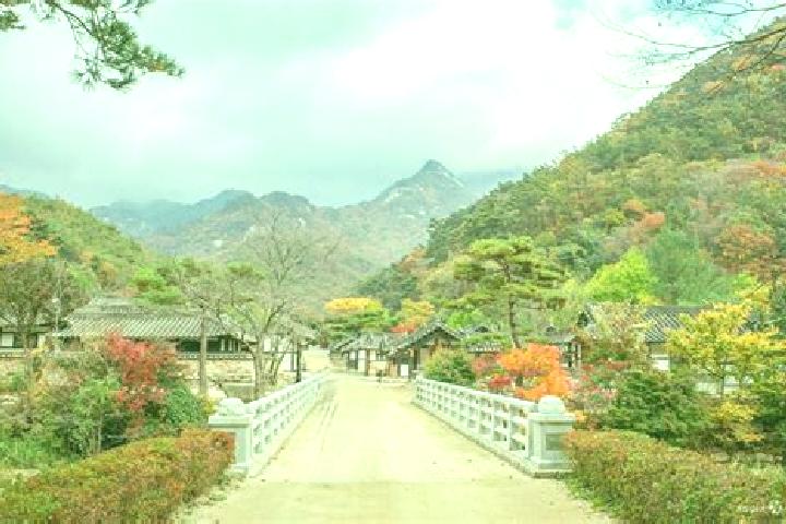 Jade, 25 — Escort in Mungyeong, South Korea