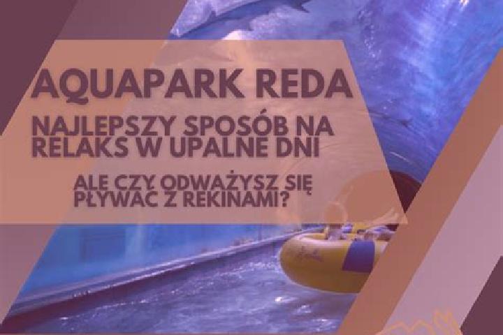 Jade, 25 — Escort in Reda, Poland