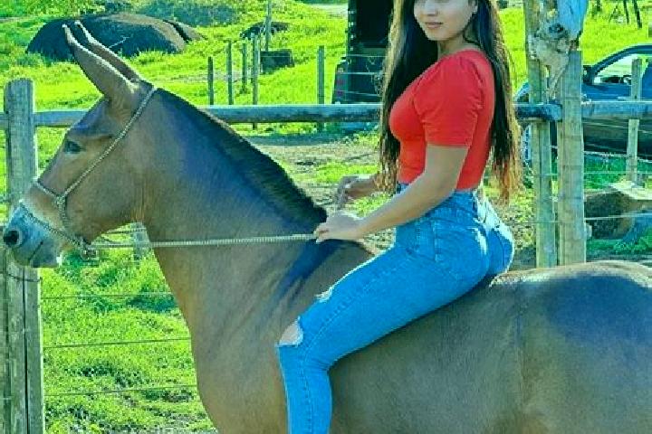 Jade, 25 — Escort in Sao Joao do Manteninha, Brazil