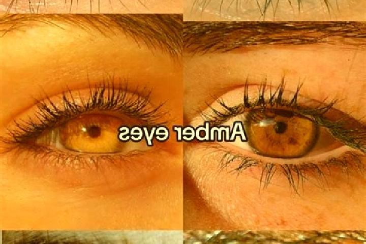 Jade, 26, a brunette amber-eyed mixed companion based in Nedumbassery. Offering GFE, Dinner Date, Fetish. Available for incall and outcall, day and evening d...