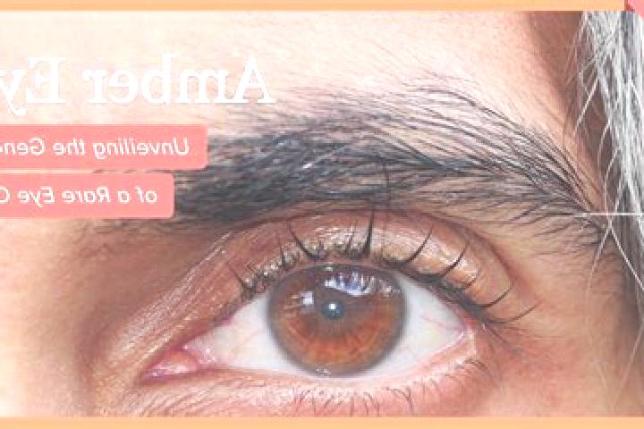 Jade, 26, a red amber-eyed asian companion based in Glundengankrajan. Offering Fetish, A-Level, 69. Available for incall and outcall, overnight bookings avai...