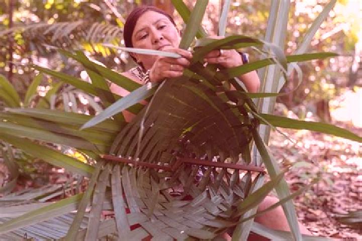 Jade, 26 — Escort in Canutama, Brazil