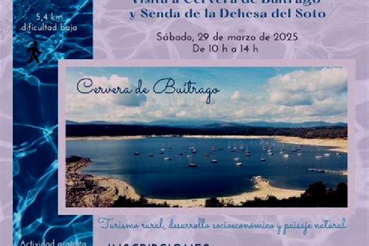 Jade, 26 — Escort in Cervera de Buitrago, Spain