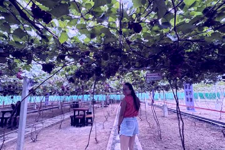 Jade, 26 — Escort in Laguitas, Philippines