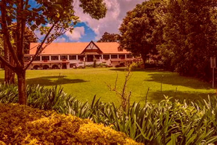 Jade, 26 — Escort in Limuru, Kenya