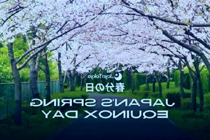 Jade, 26 — Escort in Oshiage, Japan