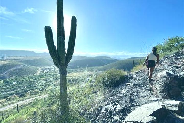 Jade, 27 — Escort in Cerro de la Cruz, Mexico