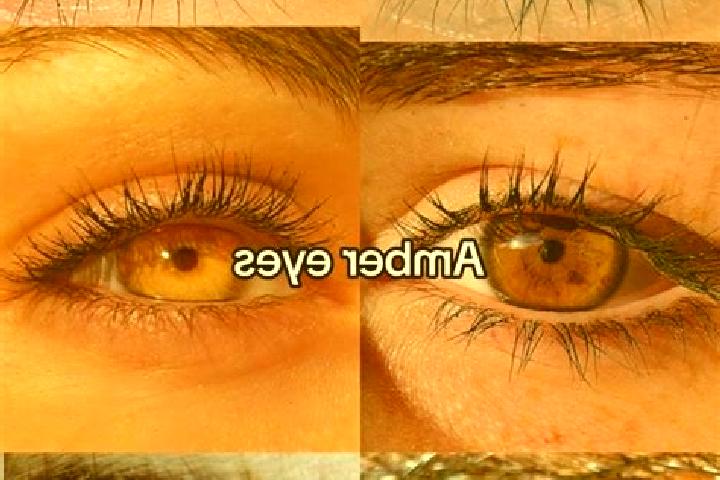 Jade, 28, a chestnut amber-eyed caribbean companion based in Duosong. Offering Girlfriend Experience, Deep French Kissing, Couples. Available for incall and ...