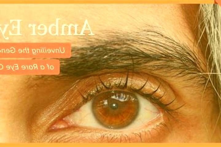 Jade, 28, a red amber-eyed caucasian companion based in Tista. Offering BDSM, Domination, Overnight. Available for incall and outcall, day and evening dates.