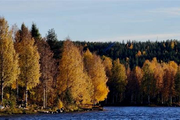 Jade, 28 — Escort in Kemijaervi, Finland