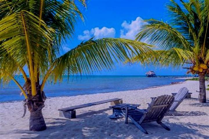 Jade, 28 — Escort in Little Belize, Belize