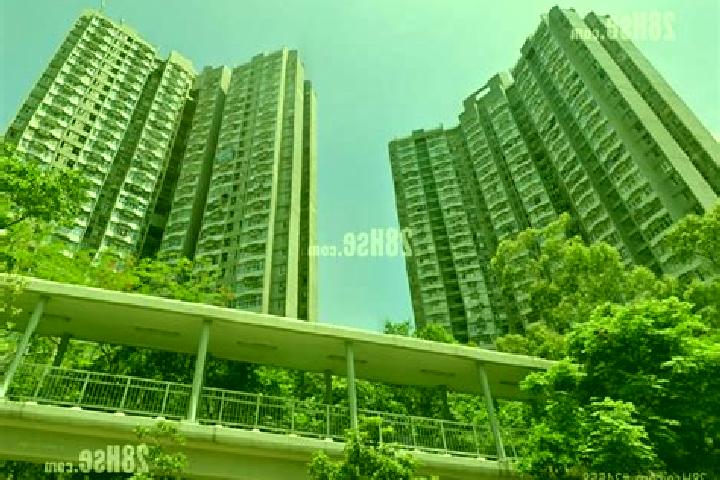 Jade, 29 — Escort in Chai Wan Estate, Hong Kong