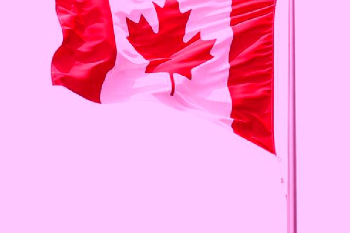 Jade, 29 — Escort in Gellatly, Canada