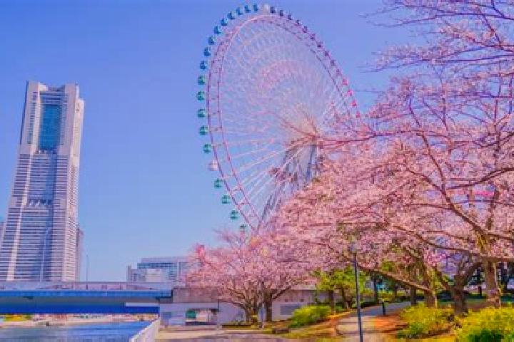 Jade, 29 — Escort in Minatomirai, Japan