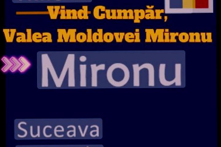 Jade, 29 — Escort in Mironu, Romania