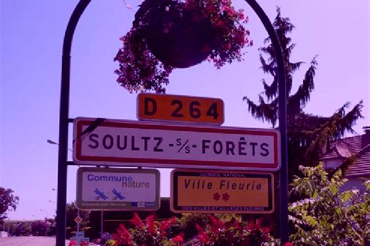 Jade, 29 — Escort in Soultz-sous-Forets, France