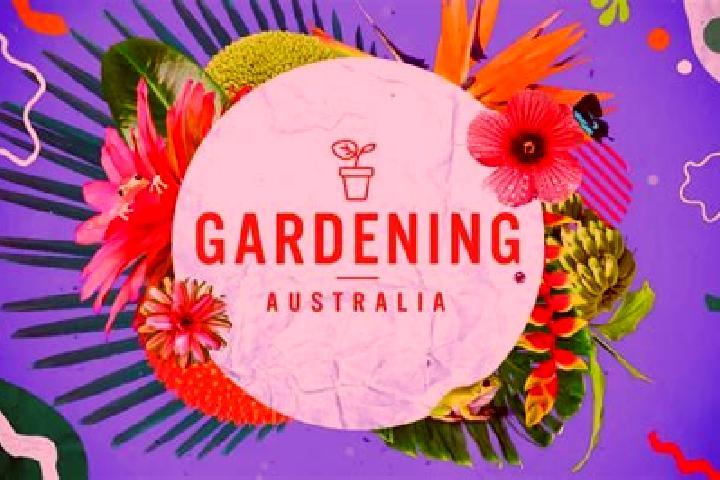 Jade, 29 — Escort in Stirling, Australia