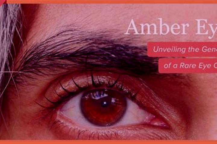 Jade, 30, a red amber-eyed middle eastern companion based in Acireale. Offering 69, Striptease, Overnight, A-Level. Available for incall and outcall, overnig...