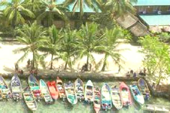 Jade, 31 — Escort in Gizo, Solomon Islands