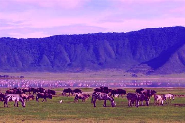Jade, 31 — Escort in Ngorongoro, Tanzania