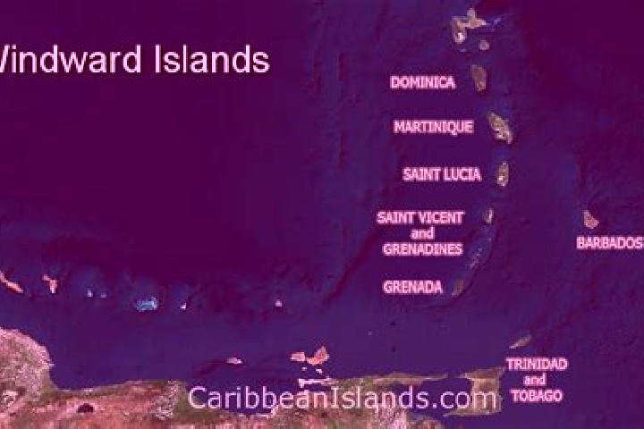 Jade, 31 — Escort in Trinidad, Belize