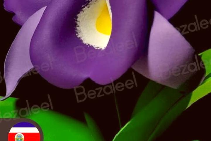 Jade, 32 — Escort in Morada Nova, Brazil